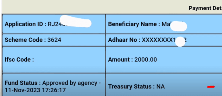 pm kisan status details 